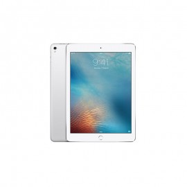 Apple iPad Pro 9.7 inch 4G 256 GB