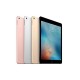 Apple iPad Pro 9.7 inch wifi 2017 128GB